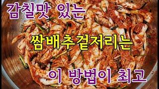 쌈배추겉절이감칠맛이 입안에 가득! 알배기 겉저리를 맛보셨나요? 황금레시피와 손질법까지