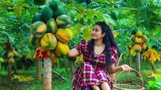 The best papaya delights!  make more sweets & desserts in rainy season!