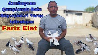 Fariz Elet Azərbaycan Çempionatı Bakı Göyərçinlərinin Yarış İştirakçısı 24 May 2023