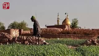 طبیعت بهاری روستای "ده‌زیار" کرمان به روایت تصویر