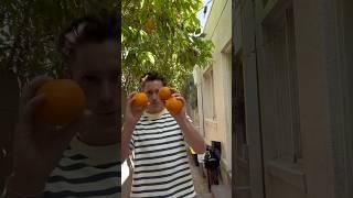 When you have orange trees surrounding your apartment #orangetree #apartmentliving #apartment