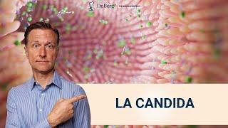 3 pasos para liberarte de La Candida para siempre- Dr. Eric Berg Español