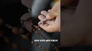 3월31일 사순 제4주일 월요일 사순묵상