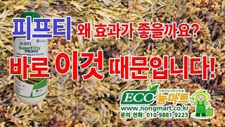 피프티 효과가 좋은이유  #BBT#피프티 #꽃게아미노 #organic#fertilizer #논산시#친환경  #프로탄C #인카 #꿀물 #제5원소3 #농사 #농마트 #아크소필럼노도섬