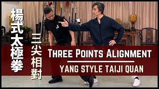 Yang Style Taiji Quan - Three Points Alignment 楊式太極拳 三尖相對