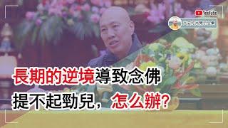 长期的逆境导致念佛提不起劲儿，怎么办？【大安法师开示】