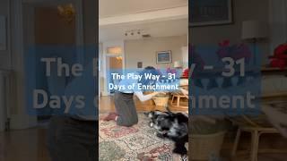 The Play Way! - 31 Days of Enrichment