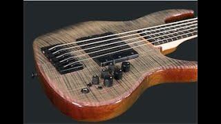 Dane Alderson New York Bass Works Cremona fretless