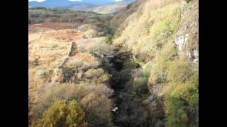 Dolgellau, Coed y Brenin and Trawsfynydd - Walking in Wales - November 2011