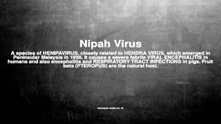 Medical vocabulary: What does Nipah Virus mean