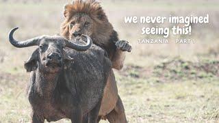 Tanzania Safari & Photographic Workshop - Part 1