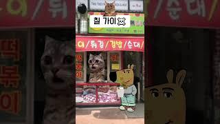 칠 가이  #고양이밈