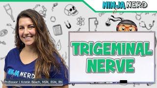 Trigeminal Nerve