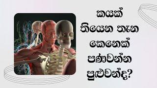 කයක් තියෙන තැන කෙනෙක් පණවන්න පුළුවන් ද..?...Most Ven. Mankadawala Sudassana Thero