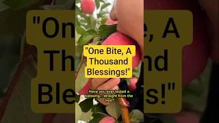 "The Sweetest Bite: Blessings From Allah’s Garden!" #Blessings #HalalLifestyle #motivation #Shorts