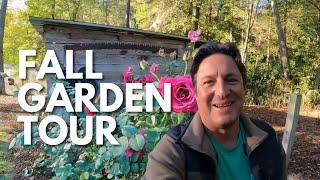 My Fall Garden!  Home Garden Tour | Grass Roots Gardening