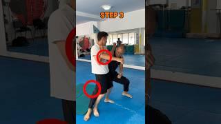 Kung Fu skills, same technique from Aikido, Sambo, Judo. #mma #kungfu #aikido #judo