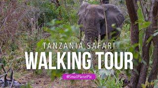 Walking Safari in Tanzania 