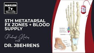 5th Metatarsal Fx Zones.+ Blood Supply Explained!