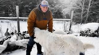 When Farmers Lose Their Voice