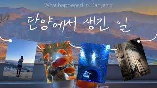 Travel VLOG | Memorable Danyang Trip  Day trip to the suburbs of Seoul | Danyang Travel Course