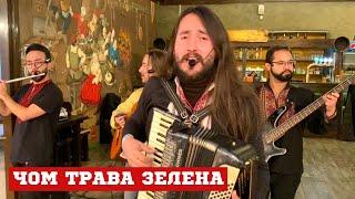 WHY IS THE GRASS GREEN - this old Ukrainian song will touch your soul - Los iankovers