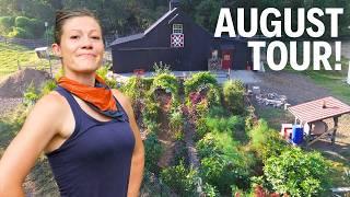 I'm Proud of This Lazy Garden! | FULL August Garden Tour 2024!