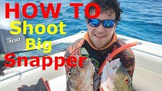 Spearfishing In Andros Bahamas for Cuberas, Muttons, and MORE!!!