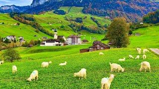 Switzerland countryside life - Relaxing walk in Switzerland's most beautiful villages