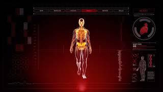 || THE QUANTUM BODY SCANNER || MORPHIC FIELD OF PERFECT HEALTH! MORPHIC FIELD