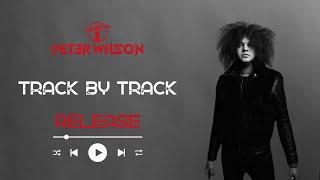 PETER WILSON | Freedom’s Door (Track-by-Track | Release)