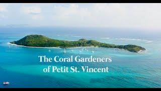 The Coral Gardeners of PSV short for Hatch Ocean Film Challenge