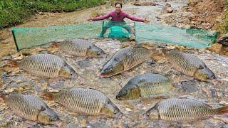 Discovering a school of fish in the stream, the girl immediately set a trap to catch them.