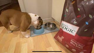 Nature’s Logic dog food Mukbang #natureslogic