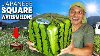 How Japanese Square Watermelons are Made & Eaten  ONLY in JAPAN