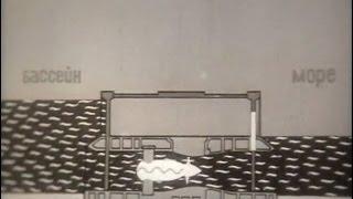 О всемирном тяготении, 1970