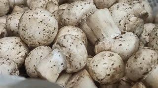 Healthy Veg Food                               #siddhi 's kitchen# shorts#yt shorts#viral #youtube