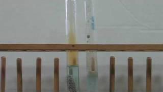 Copper and Silver Metal reactions with Nitric Acid