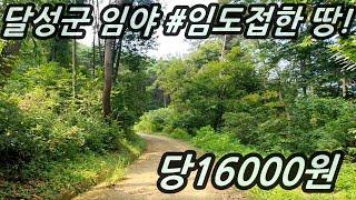 [전속중개-223]대구 달성군 임야#급매#약초#임도#은성부동산 010-4584-2100