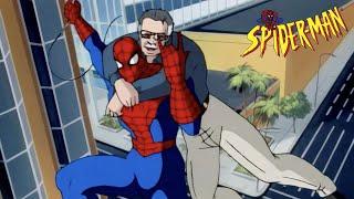 Stan Lee meets Spider-Man (Cameo) | Spider-Man: The Animated Series (HD)