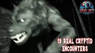 SLEEP NO MORE: 19 TERRIFYING Cryptid Encounters - Bigfoot, Dogman, Wendigo & MORE!