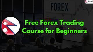 Forex Trading Basic Course for Free in Nepali | Forex Trading in Nepali