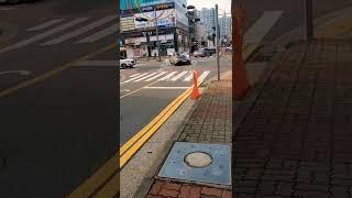 아반떼 N 순정 배기음