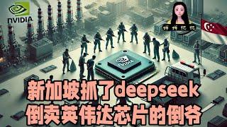 新加坡抓了几个给中共deepseek倒卖英伟达芯片的倒爷。极左固然可怕，极右危害更大