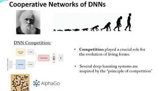 Cooperative Networks of DNNs