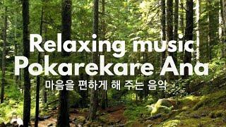 Relaxing music Pokarekare Ana #포카레카레아나 #pokarekareana repeat play 반복재생