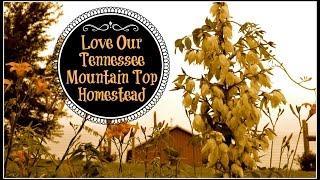 Love Our Tennessee Mountain Top Homestead~