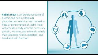 Diet diversity: RECIPE OF MEAL WITH RABBIT MEAT