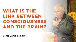 What is the link between consciousness and the brain?