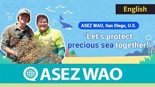 ASEZ WAO Volunteer Activity in San Diego, USA  Blue Ocean Project